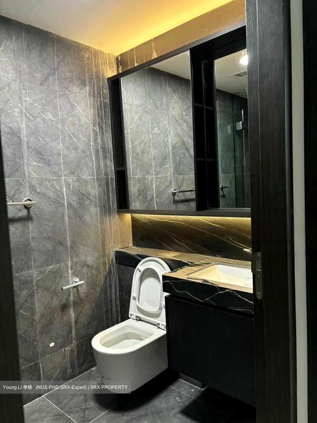 Hyll On Holland (D10), Condominium #467788001